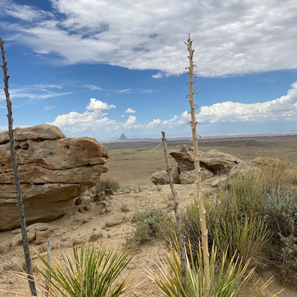 Meet your Posher - Vicky - Picture 2 of 2